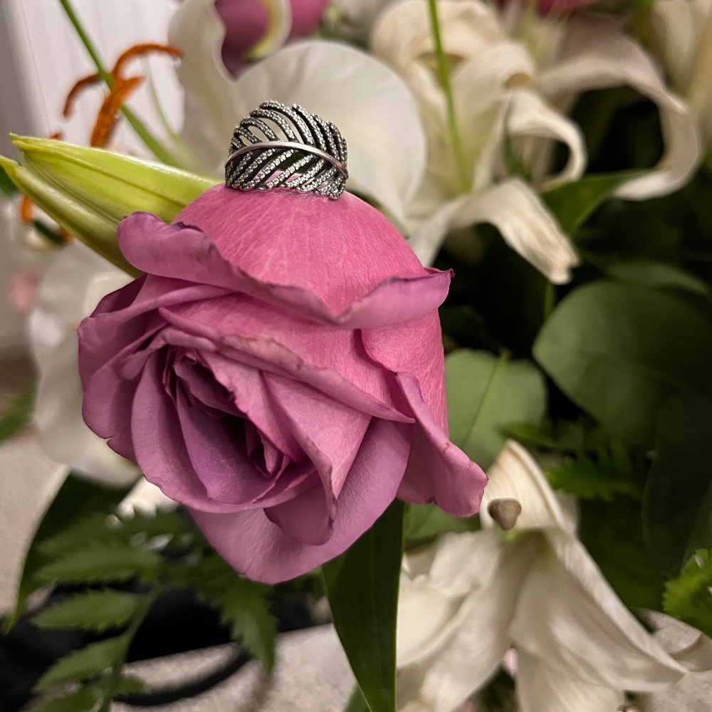 Pandora Feather Ring